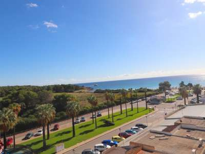 Apartment for sale in Mallorca: wide choice, excellent prices  1