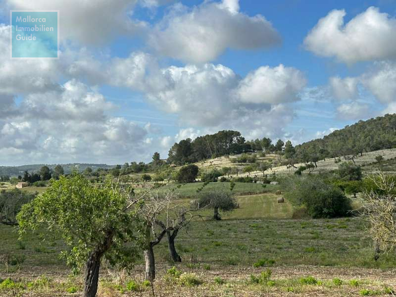 Baugrundstück, Montuiri: Grundstück mit genehmigtem Finca-Projekt | ruhige Lage - 14