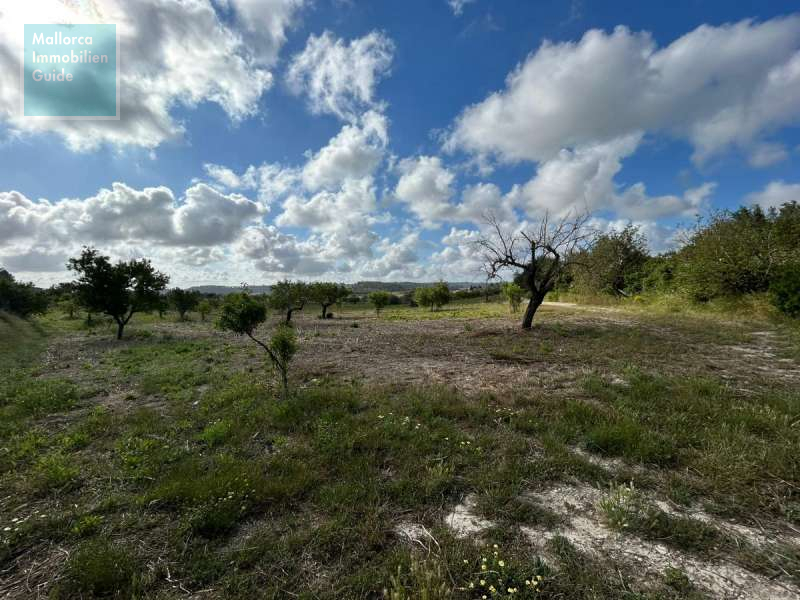 Baugrundstück, Montuiri: Grundstück mit genehmigtem Finca-Projekt | ruhige Lage - 15
