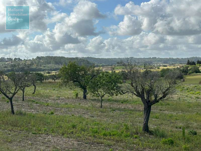 Baugrundstück, Montuiri: Grundstück mit genehmigtem Finca-Projekt | ruhige Lage - 16