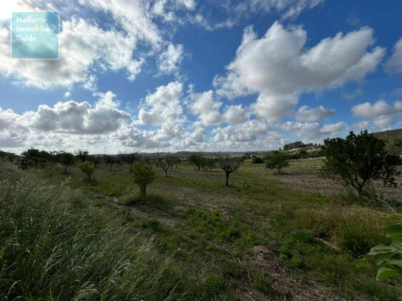 Baugrundstück, Montuiri: Grundstück mit genehmigtem Finca-Projekt | ruhige Lage - 17