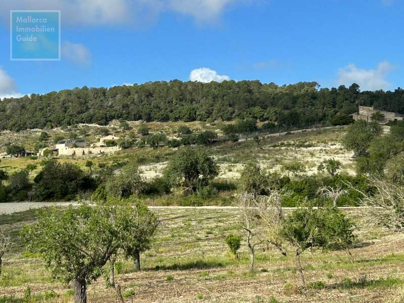 Baugrundstück, Montuiri: Grundstück mit genehmigtem Finca-Projekt | ruhige Lage - 3