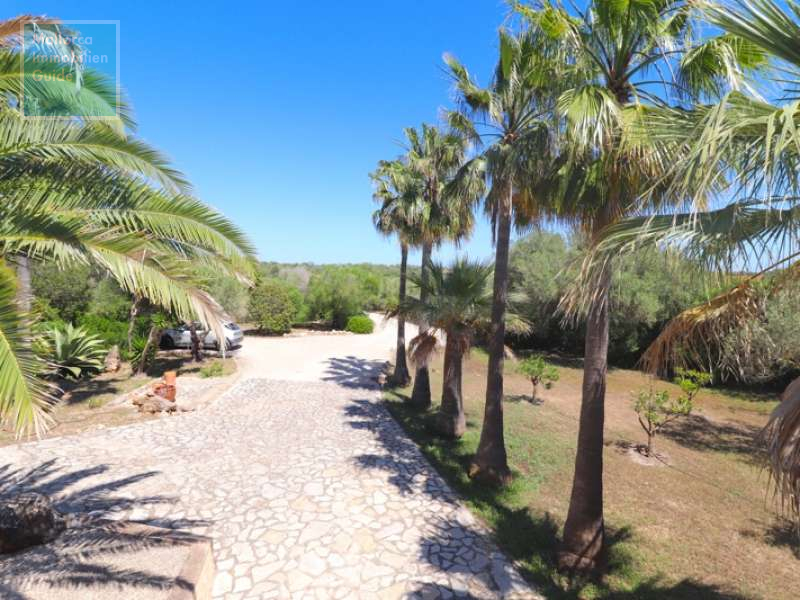 Son Carrio, Finca: Mediterranes Landhaus | Pool | Tiefgarage - 38