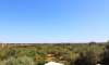 Son Carrio, Finca: Mediterranes Landhaus | Pool | Tiefgarage - 34
