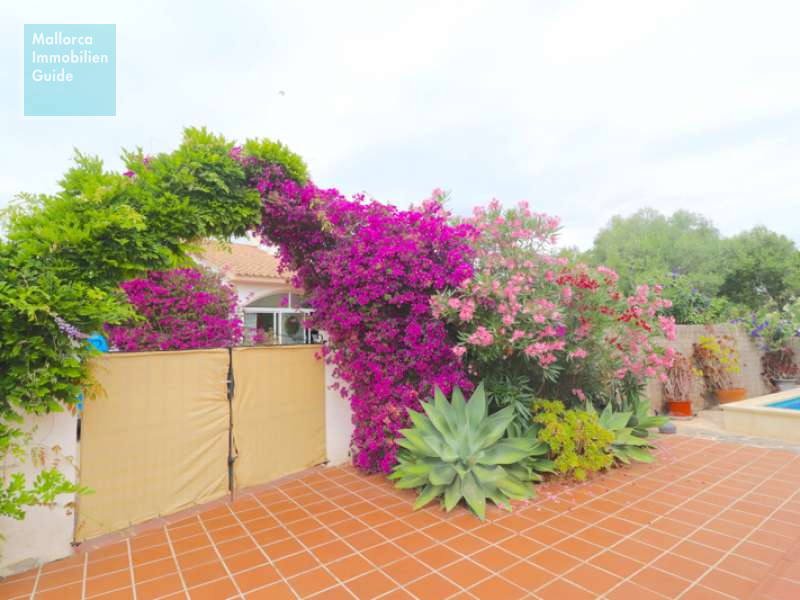 Cala Murada, Haus: Einfamilienhaus mit Pool zu verkaufen | Top Preis! - 5