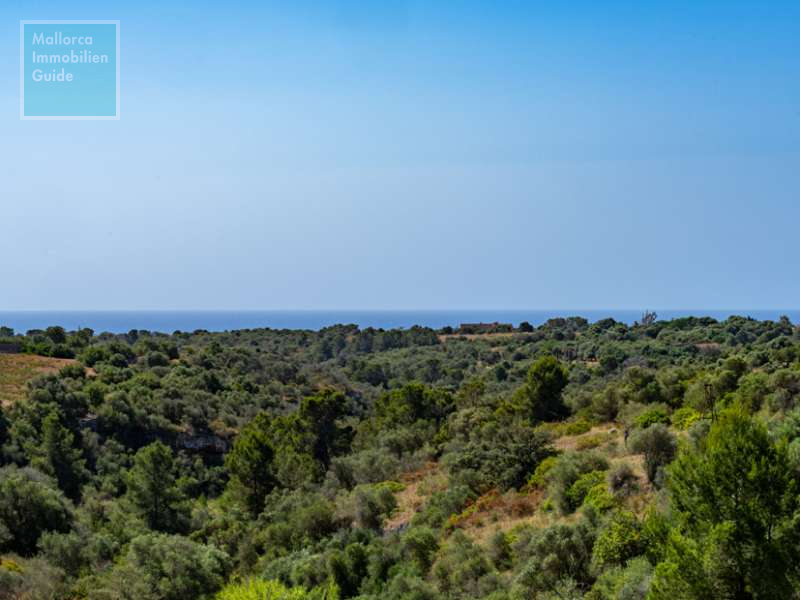 Espinagar, Finca: 2019 vollständig modernisierte Finca | Pool | Meerfernblick - 26