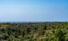 Espinagar, Finca: 2019 vollständig modernisierte Finca | Pool | Meerfernblick - 26