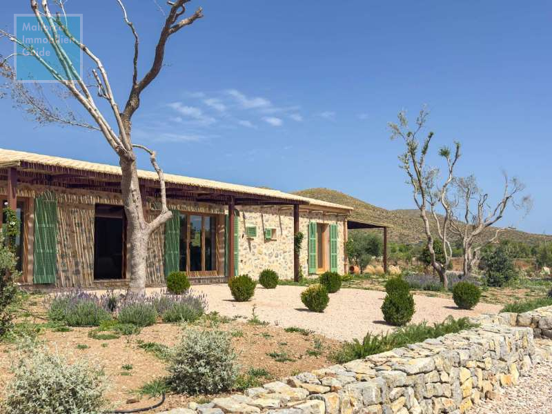 Capdepera, Finca: Barrierefreie Neubau Finca |  Pool | eigener Brunnen - 4