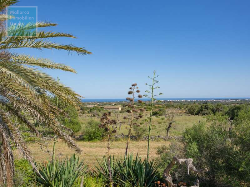 Son Carrió, Finca: Landhaus Meer- Fernblick & Casita zu verkaufen - 3