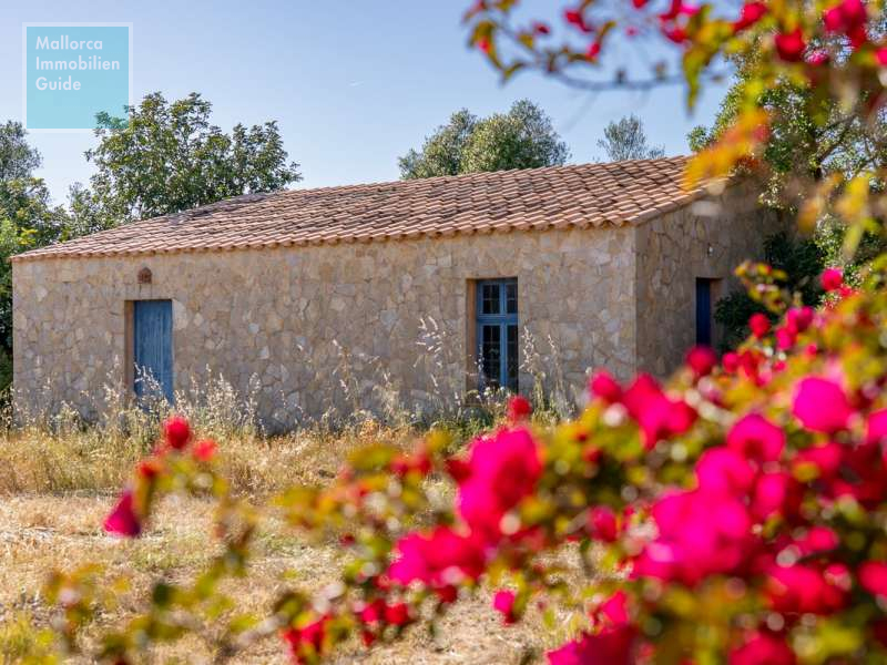 Son Carrió, Finca: Landhaus Meer- Fernblick & Casita zu verkaufen - 30