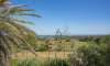 Son Carrió, Finca: Landhaus Meer- Fernblick & Casita zu verkaufen - 3