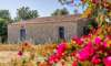 Son Carrió, Finca: Landhaus Meer- Fernblick & Casita zu verkaufen - 30