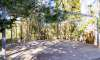Son Carrió, Finca: Landhaus Meer- Fernblick & Casita zu verkaufen - 31