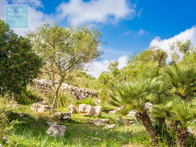 Son Servera, Finca: Großes Landhaus mit Meer- Fernblick & Pool zu verkaufen - 32