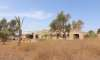 Portocristo, Finca: Landhaus mit Ausbaupotential zu verkaufen - 40