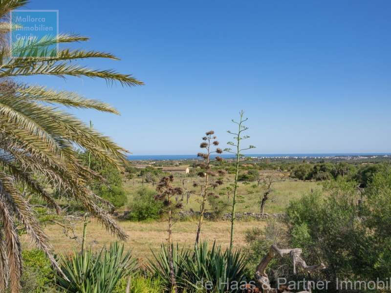 Finca Mallorca kaufen: Die besten Fincas ab € 275.000 2