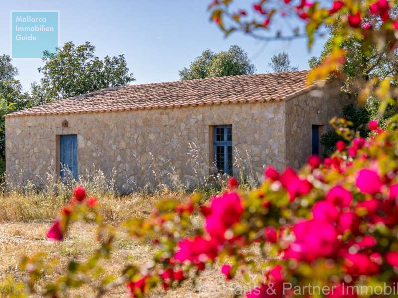 Finca Mallorca kaufen: Die besten Fincas ab € 275.000 59