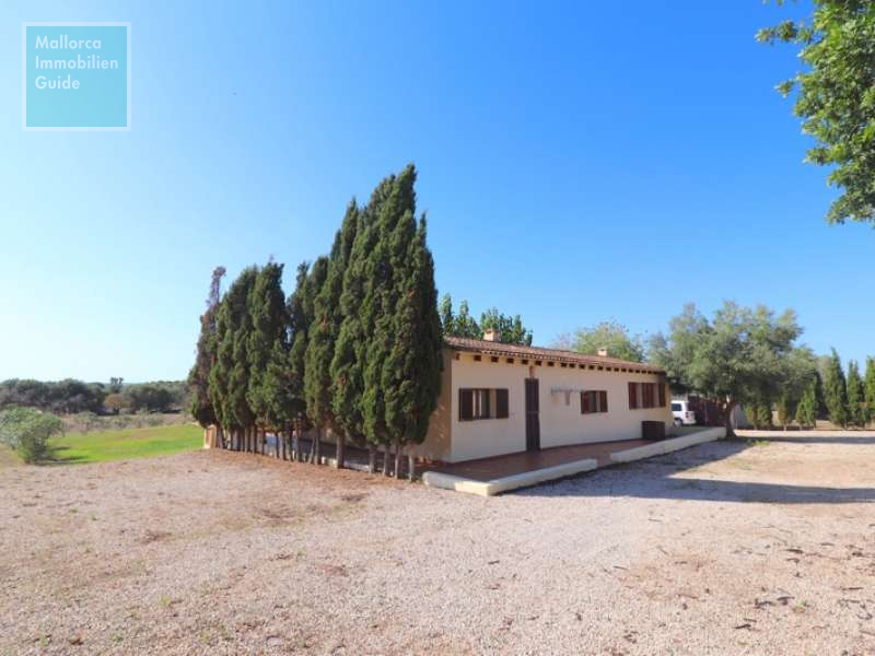 Son Carrió, Finca: Landhaus mit Meerblick zu verkaufen | ETV Lizenz  - 21