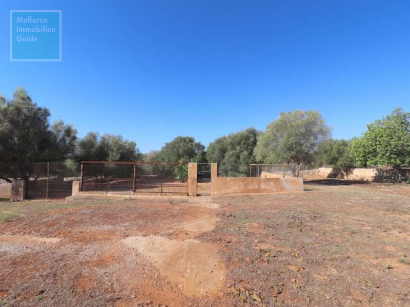 Son Carrió, Finca: Landhaus mit Meerblick zu verkaufen | ETV Lizenz  - 24