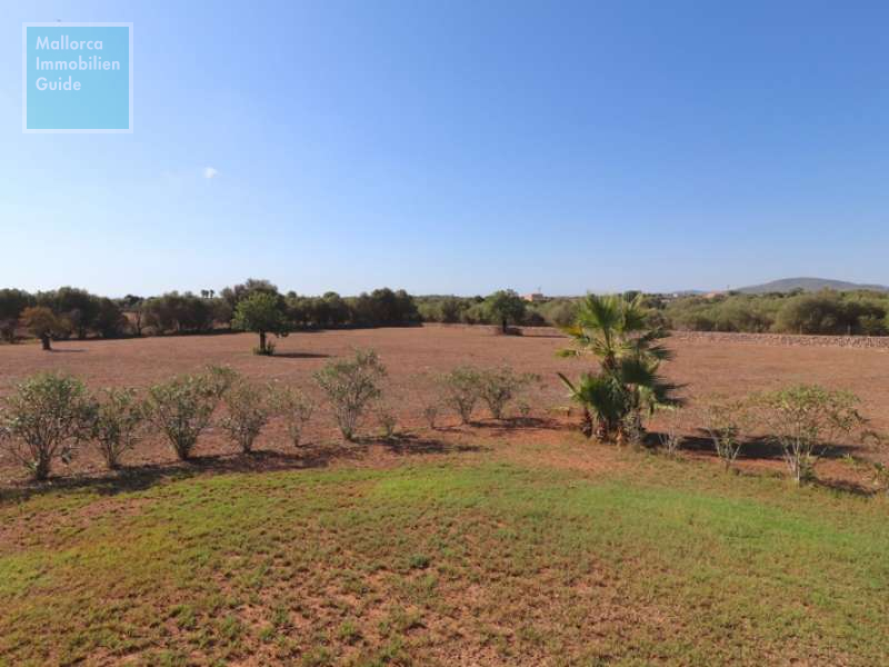 Son Carrió, Finca: Landhaus mit Meerblick zu verkaufen | ETV Lizenz  - 26