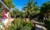 Cala Murada, Villa: Einfamilienhaus zu verkaufen | Meerblick | Pool | Strandnähe - 4