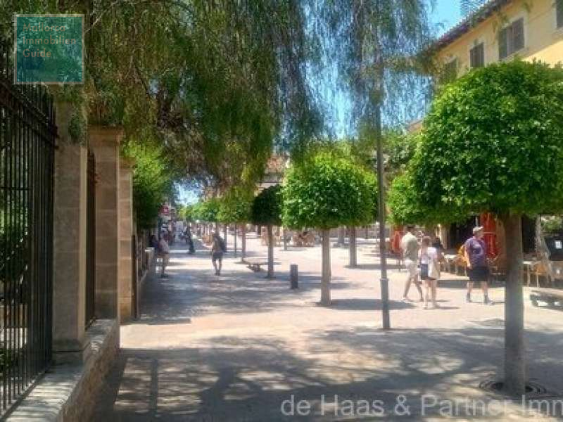 Piso en venta Mallorca: gran selección, precios económicos 7